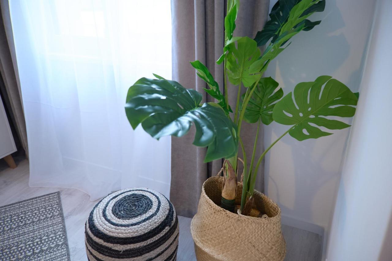 City Center Accomodation - 101 เรชิตา ภายนอก รูปภาพ